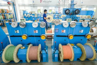 搶抓機(jī)遇賦能未來 浙江如何打開5G商用藍(lán)海